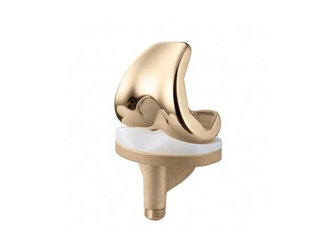 Prótesis de rodilla total (set)